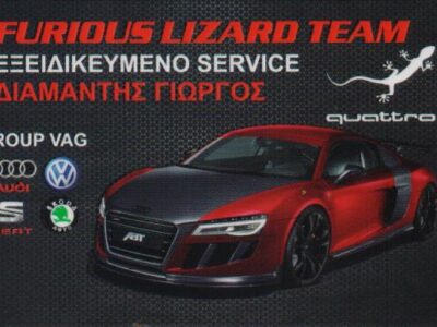 FURIOUS LIZARD TEAM - ΔΙΑΜΑΝΤΗΣ
